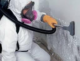 Best Water Damage & Mold Remediation  in Steger, IL